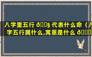 八字里五行 🐧 代表什么命（八字五行属什么,寓意是什么 🐝 ）